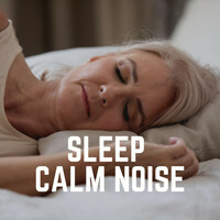 Thumbnail for the White Noise Relaxation for Sleeping Babies - Sleep Calm Noise link, provided by host site