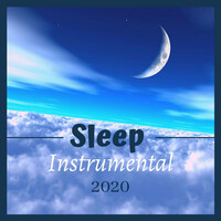 Thumbnail for the Child Synesthesia - Sleep Instrumental 2020 link, provided by host site