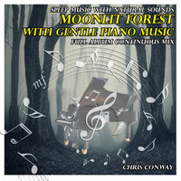 Thumbnail for the Chris Conway - Sleep Music with Natural Sounds: Moonlit Forest with Gentle Piano Music link, provided by host site