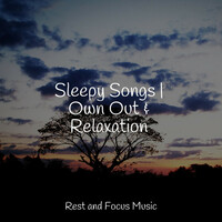 Thumbnail for the Study Music - Sleepy Songs | Own Out & Relaxation link, provided by host site