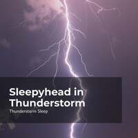 Thumbnail for the Thunderstorms - Sleepyhead in Thunderstorm link, provided by host site