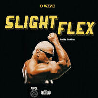 Thumbnail for the O Wave - Slight Flex link, provided by host site