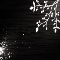 Image of Luigi Peretti linking to their artist page due to link from them being at the top of the main table on this page