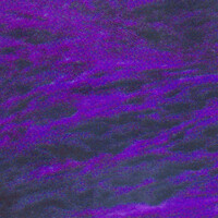 Thumbnail for the Triathalon - Slip'n link, provided by host site