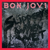 Thumbnail for the Bon Jovi - Slippery When Wet link, provided by host site