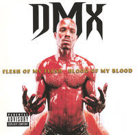 Thumbnail for the DMX - Slippin' link, provided by host site