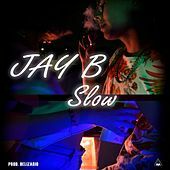 Thumbnail for the Jay B - Slow link, provided by host site