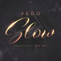 Thumbnail for the VEDO - Slow link, provided by host site