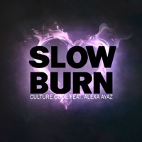 Thumbnail for the Culture Code - Slow Burn link, provided by host site