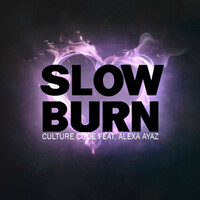 Thumbnail for the Culture Code - Slow Burn (Original Mix) link, provided by host site