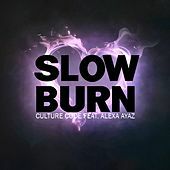 Thumbnail for the Culture Code - Slow Burn (Original Mix) link, provided by host site