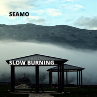 Thumbnail for the Seamo - Slow Burning link, provided by host site