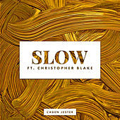 Thumbnail for the Caden Jester - Slow link, provided by host site