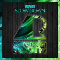 Image of SNR linking to their artist page due to link from them being at the top of the main table on this page