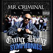 Thumbnail for the Mr. Criminal - Slow Down link, provided by host site