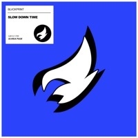 Image of Blvckprint linking to their artist page due to link from them being at the top of the main table on this page