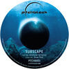 Image of Subscape linking to their artist page due to link from them being at the top of the main table on this page