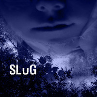 Thumbnail for the Slug - SLuG link, provided by host site