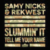 Thumbnail for the Samy Nicks - Slummin' It / Tell Me Your Name link, provided by host site