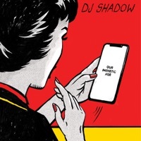 Thumbnail for the DJ Shadow - Small Colleges (Stay with Me) link, provided by host site
