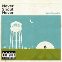 Thumbnail for the Never Shout Never - Small Town Girl link, provided by host site