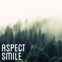 Thumbnail for the Aspect - Smile link, provided by host site