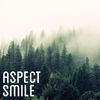 Image of Aspect linking to their artist page due to link from them being at the top of the main table on this page
