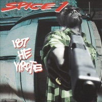 Thumbnail for the Spice-1 - Smoke 'Em Like a Blunt link, provided by host site