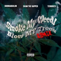 Thumbnail for the Tribe - Smoke My Weed / Blow My Trees [Remix] link, provided by host site