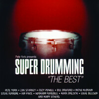Image of Ian Paice linking to their artist page due to link from them being at the top of the main table on this page