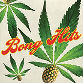 Thumbnail for the Sublime - Smoke Two Joints link, provided by host site