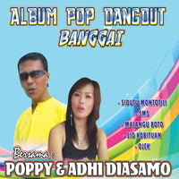 Thumbnail for the Poppy - SMS link, provided by host site