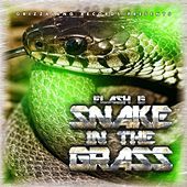 Thumbnail for the Flash G - Snake in the Grass link, provided by host site