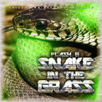 Thumbnail for the Flash G - Snake in the Grass link, provided by host site