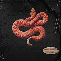 Thumbnail for the Mick Jenkins - Snakes link, provided by host site