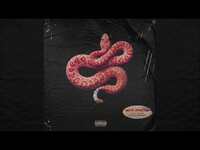 Thumbnail for the Mick Jenkins - "Snakes" link, provided by host site