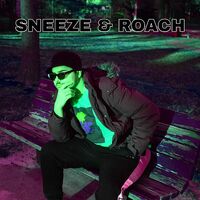 Thumbnail for the The Ranger - Sneeze and Roach link, provided by host site