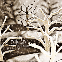 Thumbnail for the Polar - Snow Song link, provided by host site