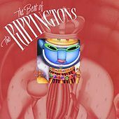 Thumbnail for the the Rippingtons - Snowbound link, provided by host site