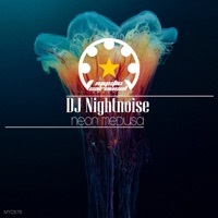 Thumbnail for the DJ Nightnoise - Snowstorm link, provided by host site