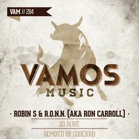 Thumbnail for the Robin S. - So Alive (Code3000 Remix) link, provided by host site