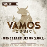 Thumbnail for the Robin S. - So Alive (T. Tommy, Vicente Ferrer & Victor Perez Remix) link, provided by host site