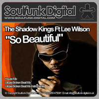 Thumbnail for the Lee Wilson - So Beautiful link, provided by host site