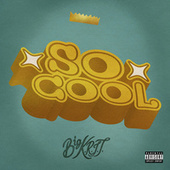 Thumbnail for the Big K.R.I.T. - So Cool link, provided by host site