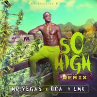 Thumbnail for the Mr. Vegas - So High Remix link, provided by host site