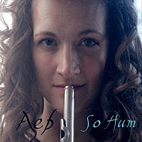 Thumbnail for the A$E B - So Hum (Reissue) link, provided by host site