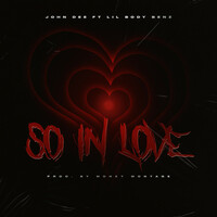 Thumbnail for the John Dee - So in love link, provided by host site