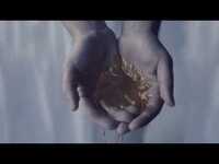 Thumbnail for the Sannhet - "So Numb" Official Album Teaser link, provided by host site