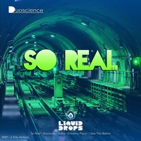 Thumbnail for the DuoScience - So Real link, provided by host site