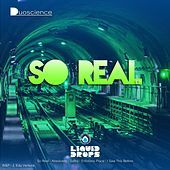 Thumbnail for the DuoScience - So Real link, provided by host site
